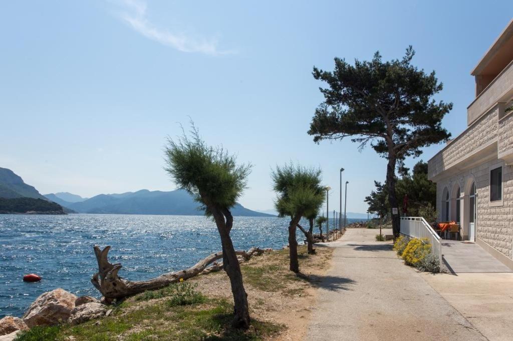 Apartments Bezek Trstenik  Εξωτερικό φωτογραφία